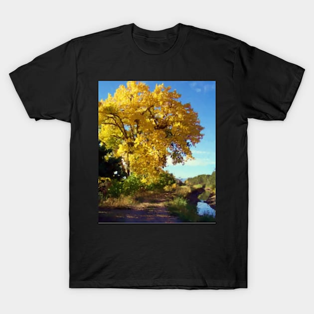 Fall Along the Ditch T-Shirt by JMarieDesigns